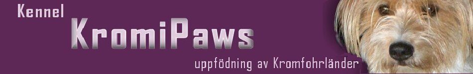 Kromipaws-logo
